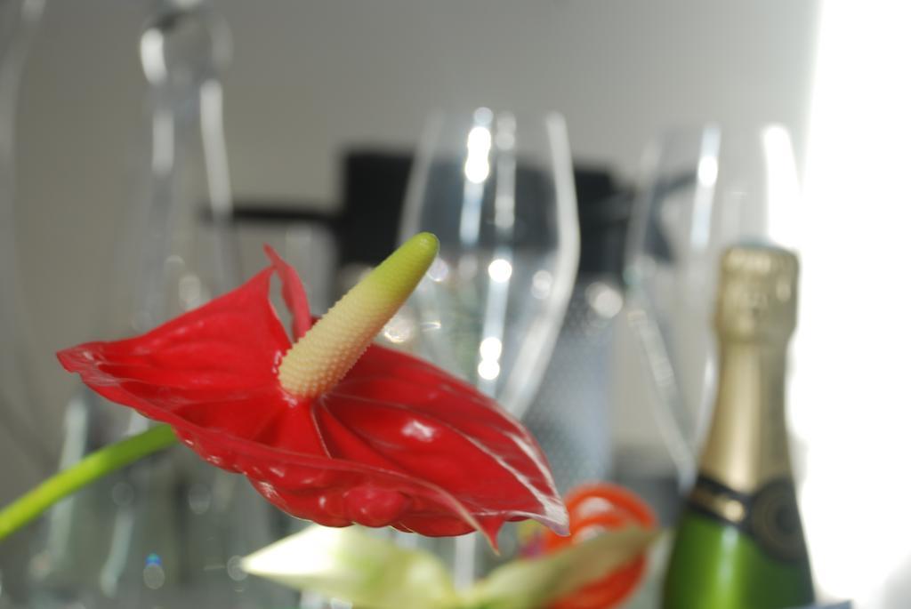 Appartement Prado Borely Marseille Rom bilde